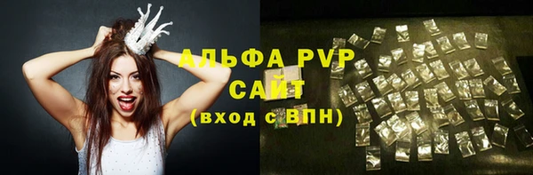 a pvp Бородино